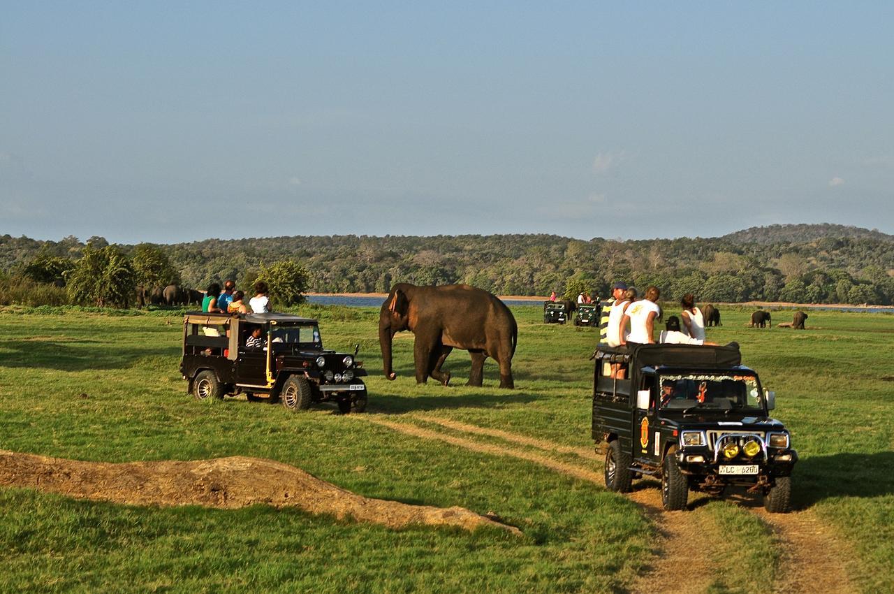 Kumbukgaha Villa Sigiriya Luaran gambar